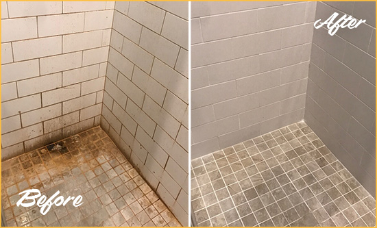 Before and After Picture of a Apache Junction Shower Tile and Grout Cleaned to Eliminate Mold and Stains